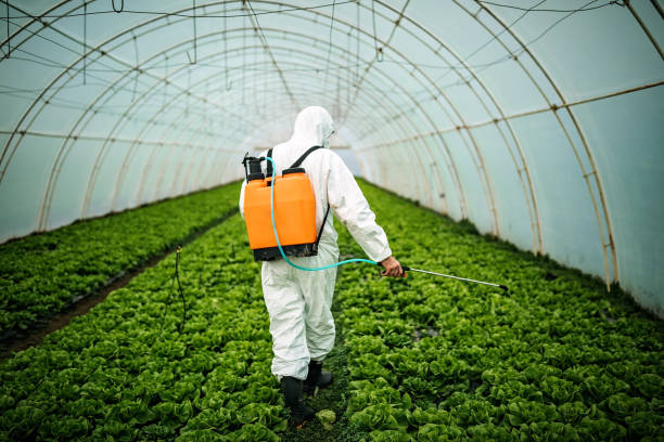 Best Pest Inspection Near Me  in Kingston, TN