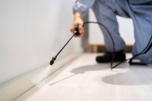 Flea Control Services in Kingston, TN