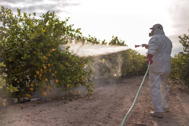 Best Emergency Pest Control  in Kingston, TN