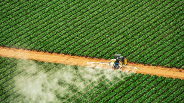 Best Mosquito Control Services  in Kingston, TN