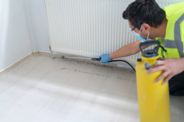 Best Best Pest Control Companies  in Kingston, TN