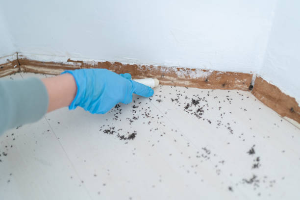 Best Wildlife Control Services  in Kingston, TN