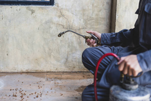 Best Pest Prevention Services  in Kingston, TN